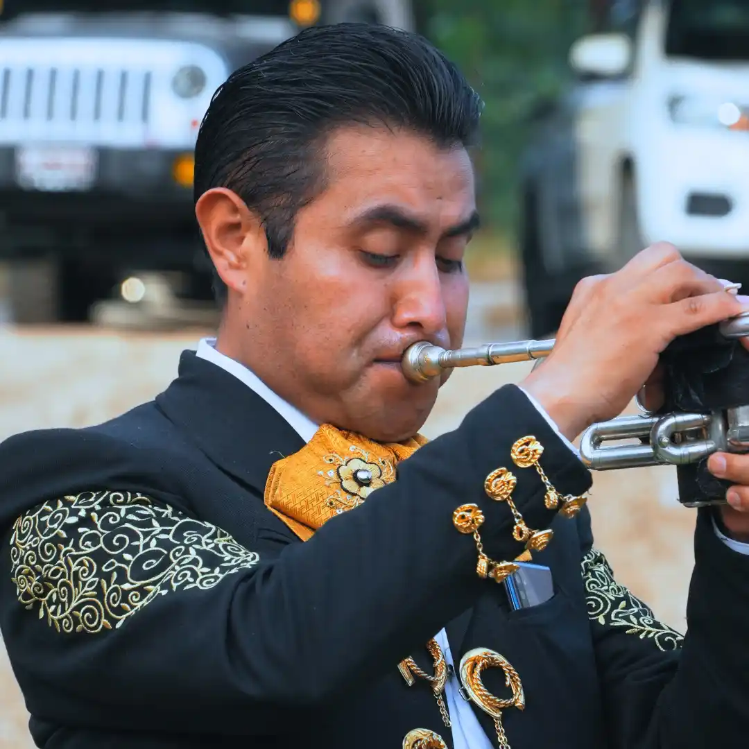 Mariachis en Toluca